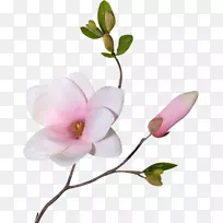 剪贴画-空若网 剪贴画-空若网