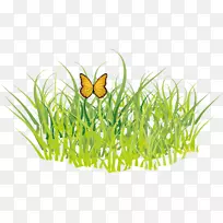 ������gis-���������png-������