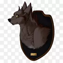 胡须猫狗毛鼻子猫-空若网 胡须猫狗毛鼻子猫-空若网