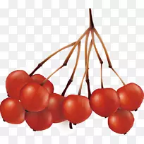 樱桃红果苹果鲜果红樱桃-空若网 樱桃红果苹果鲜果红樱桃-空若网