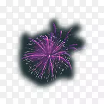 Adobe烟花-漂亮的紫色烟花-空若网 Adobe烟花-漂亮的紫色烟花-空若网