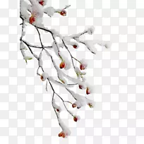 树枝、剪贴画-空若网 树枝、剪贴画-空若网