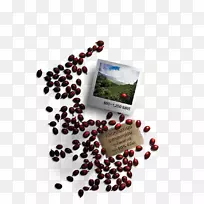 ����ʳƷ-���Ȱ�������-������