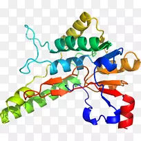 生物线动物剪贴画线-空若网 生物线动物剪贴画线-空若网