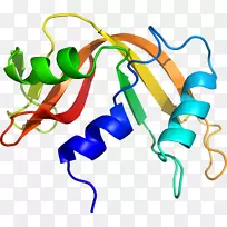 �ߵ������������-������