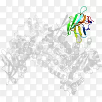 剪贴画设计-空若网 剪贴画设计-空若网