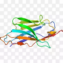 �ߵ������-��-������