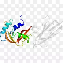 平面设计有机体剪贴画设计-空若网 平面设计有机体剪贴画设计-空若网