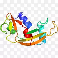 艺术植物有机体线剪贴画-蔬菜-空若网 艺术植物有机体线剪贴画-蔬菜-空若网