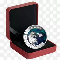 ���ô�ʼ����ң����ô�����Ҷ-���ô�-������