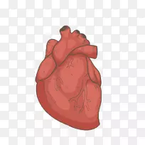 �ֻ�����-������