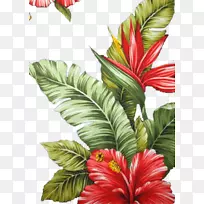 Ë®²Ê»£º»¨»ÜÉè¼ÆË®²Ê»-Ë®²Ê»»¨»Ü´´×÷-¿ÕÈôÍø Ë®²Ê»£º»¨»ÜÉè¼ÆË®²Ê»-Ë®²Ê»»¨»Ü´´×÷-¿ÕÈôÍø