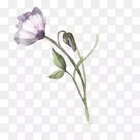 ˮ�ʻ�.ˮ�ʻ���-������