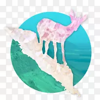 驯鹿鹿茸-空若网 驯鹿鹿茸-空若网