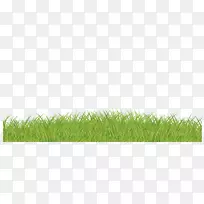 草坪绿草科绿草-空若网 草坪绿草科绿草-空若网