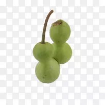 ˮ��Сƿ-������