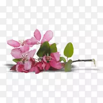 ��������л�-������