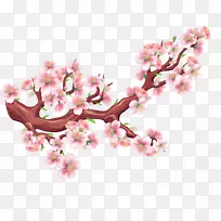 樱花树-樱花-空若网 樱花树-樱花-空若网