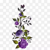 ��ɫ������-��ɫ-������