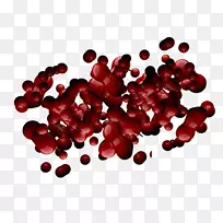 哥特式艺术博主电子邮件-qv-空若网 哥特式艺术博主电子邮件-qv-空若网