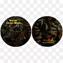 昆虫-空若网 昆虫-空若网