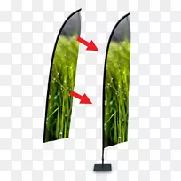 叶草-叶-空若网 叶草-叶-空若网