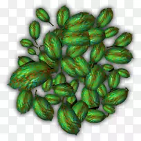 水果-空若网 水果-空若网