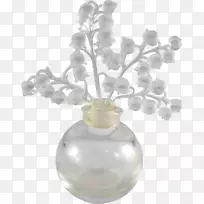 ��������ƿ-������