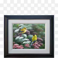 ���￪��ֲ����������.��ɫ����-������