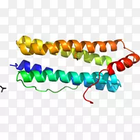 珠宝首饰剪贴画.珠宝-空若网 珠宝首饰剪贴画.珠宝-空若网