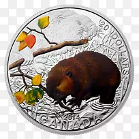 �������Ҽ��ô�����-����-������