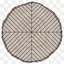 ���������̶�NW��������Ӫ��ѧ.�ķ�֮һ��-������