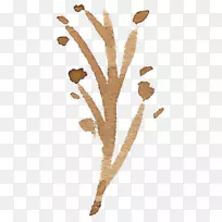 ˮ�ʻ�������ˮ�ʻ�-��ҶԪ��͸��Ԫ��-������