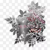 开花植物-空若网 开花植物-空若网