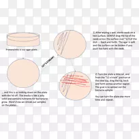 科学博览会疾病工程的胚芽理论-科学-空若网 科学博览会疾病工程的胚芽理论-科学-空若网