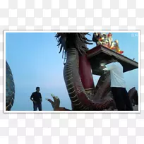 �����Ͱ��ǵ���¼���ѧ��Ӱ��ѧ��־-�����������׵���-������