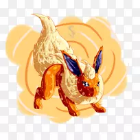 果火耀斑-空若网 果火耀斑-空若网