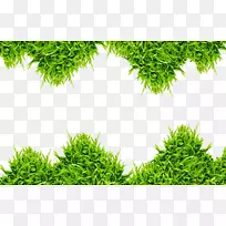 �̲���Ӱ.���ٲ�Ҷ-������