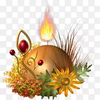 花卉花束秋季花卉设计-花卉-空若网 花卉花束秋季花卉设计-花卉-空若网