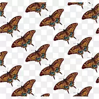 ���������ɶ���������Ϻ�����ɫ��-������