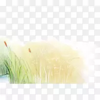 ¶¯Âþ×°ÊÎÒÕÊõÏÂÔØ-²Ý£¬¿¨Í¨²Ý³¡£¬ÌÔ±¦×°ÊβÄÁÏ-¿ÕÈôÍø ¶¯Âþ×°ÊÎÒÕÊõÏÂÔØ-²Ý£¬¿¨Í¨²Ý³¡£¬ÌÔ±¦×°ÊβÄÁÏ-¿ÕÈôÍø