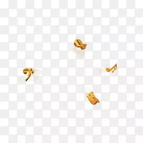 昆虫身体珠宝.昆虫-空若网 昆虫身体珠宝.昆虫-空若网