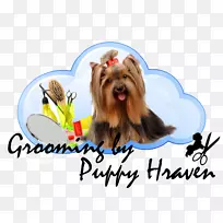 Լ�˿�С��Ȯ���Ĵ�����˿״��Ȯ���Ĵ�����С��Ȯ�����ﹷ-������ʯ��Ȯ-������