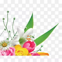 ������ưٺϹ���ֲ��ٺϻ�-������