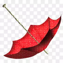 雨伞欧林格瓦霍博客雨伞-空若网 雨伞欧林格瓦霍博客雨伞-空若网