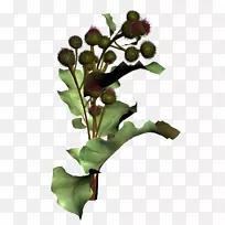 ������-����-������