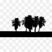 槟榔科剪贴画-树-空若网 槟榔科剪贴画-树-空若网