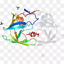 平面设计有机体剪贴画设计-空若网 平面设计有机体剪贴画设计-空若网