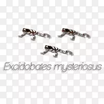 爬行动物体珠宝字体.珠宝-空若网 爬行动物体珠宝字体.珠宝-空若网