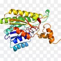 蔬菜有机体剪贴画-蔬菜-空若网 蔬菜有机体剪贴画-蔬菜-空若网